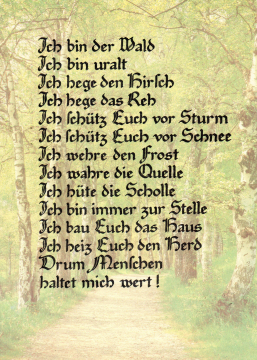 Gedicht • Ich bin der Wald