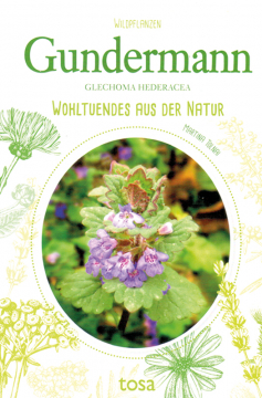 Gundermann - Wohltuendes aus der Natur