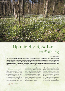 Heil & Kraut 2022 - Nr. 1