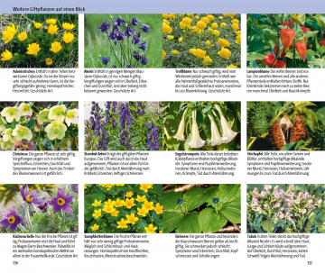 Heilpflanzen und ihre giftigen Doppelgänger, Ursula Stumpf