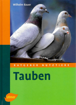 Tauben, Wilhelm Bauer