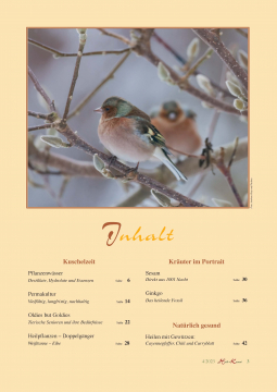 Heil & Kraut 2023 - Nr. 4 (ePaper)