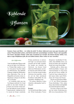 Heil & Kraut 2024 - Nr. 2