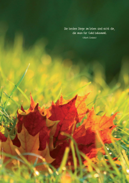 Heil & Kraut 2024 - Nr. 3 (ePaper)