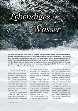 Heil & Kraut 2025 - Nr. 2 (ePaper)