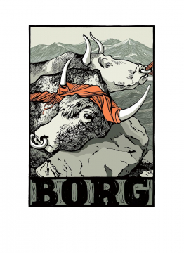 Der Mordbrand von Örnolfsdalur und andere Isländer-Sagas, Tilman Spreckelsen, Kat Menschik