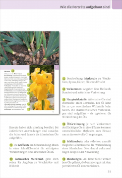 Pflanzen der Aromatherapie, Gudrun und Peter Germann