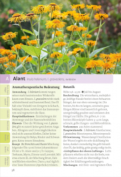 Pflanzen der Aromatherapie, Gudrun und Peter Germann