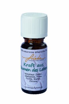 Kraft aus Bäumen des Lebens • Ätherisches Öl, 10 ml