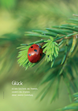 Altes Kräuterwissen Nr. 22