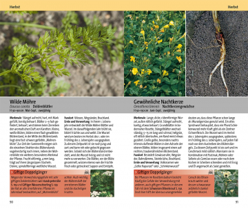 Essbare Wildkräuter und ihre giftigen Doppelgänger, Eva-Maria Dreyer