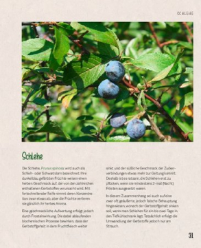 Essbare Schätze aus der Natur, Axel Gutjahr