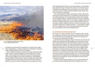 Feuer, Stephen J. Pyne