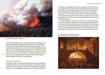 Feuer, Stephen J. Pyne