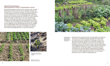 Von Pflanzen, die sich mögen, und Tieren, die uns helfen, Sonja Schwingesbauer