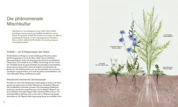 Von Pflanzen, die sich mögen, und Tieren, die uns helfen, Sonja Schwingesbauer