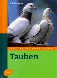 Tauben, Wilhelm Bauer