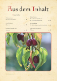 Altes Kräuterwissen Nr. 19
