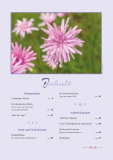 Heil & Kraut 2025 - Nr. 2 (ePaper)